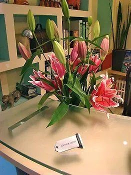 Sophien 프랑크푸르트